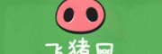 飞猪网