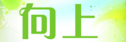向上