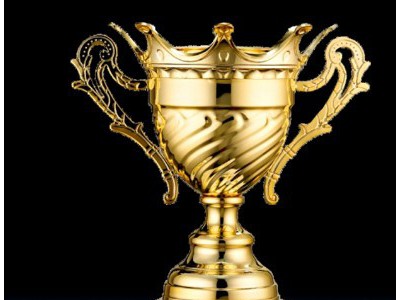 供应上海闸北金属奖杯，优质供应商奖杯，优质加盟商奖杯，环典政府举办活动奖杯，服装设计大赛奖杯图4