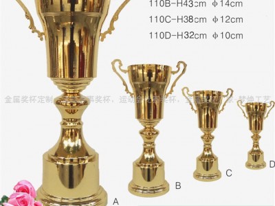 供应上海闸北金属奖杯，优质供应商奖杯，优质加盟商奖杯，环典政府举办活动奖杯，服装设计大赛奖杯图7