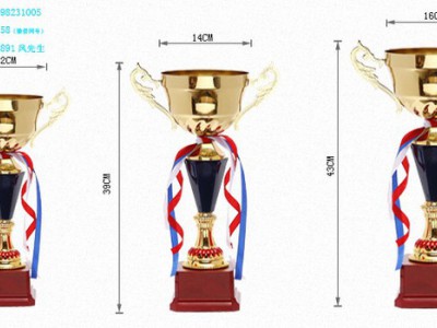 供应上海闸北金属奖杯，优质供应商奖杯，优质加盟商奖杯，环典政府举办活动奖杯，服装设计大赛奖杯图8