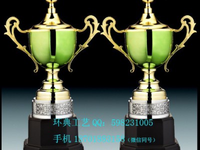 供应上海闸北金属奖杯，优质供应商奖杯，优质加盟商奖杯，环典政府举办活动奖杯，服装设计大赛奖杯图5