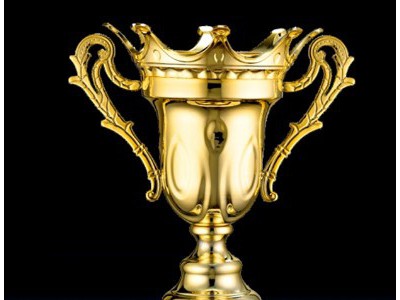 供应上海闸北金属奖杯，优质供应商奖杯，优质加盟商奖杯，环典政府举办活动奖杯，服装设计大赛奖杯图3