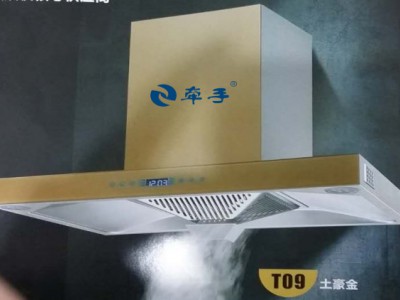 牵手DG353油烟机加盟经销厨卫电器批发代理厨房电器投资厨房电器生意图4