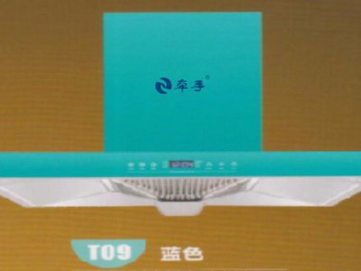 牵手DG353油烟机加盟经销厨卫电器批发代理厨房电器投资厨房电器生意图3