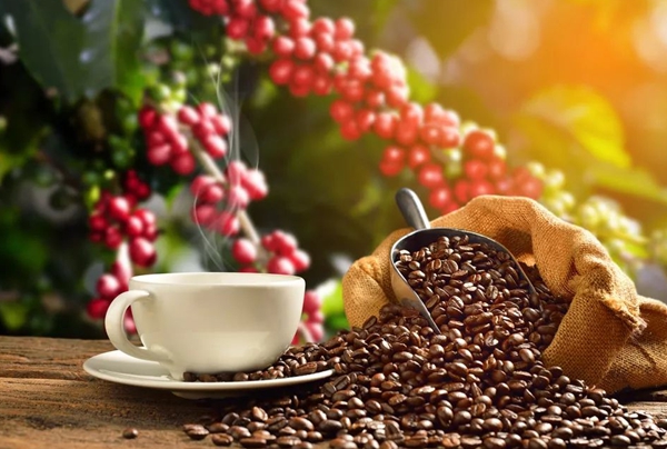 15887603353587499384902.jpg 微信图片_20200506113127.jpg