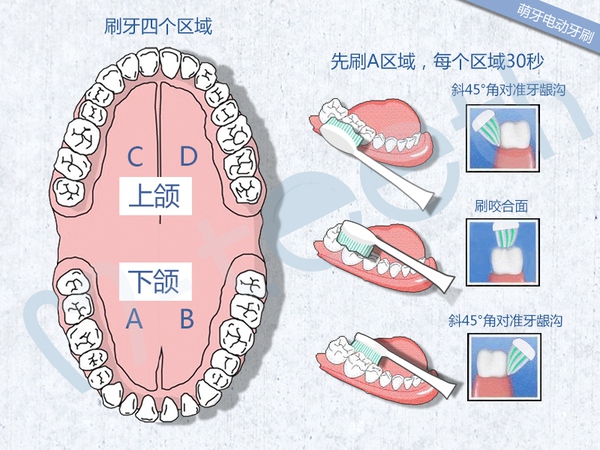 电动牙刷使用方法 电动牙刷使用注意事项5